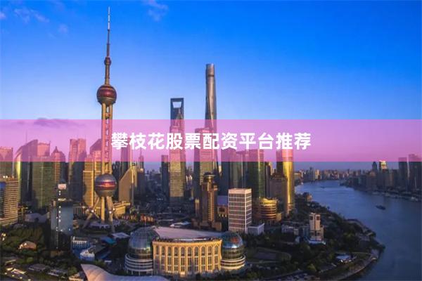 攀枝花股票配资平台推荐